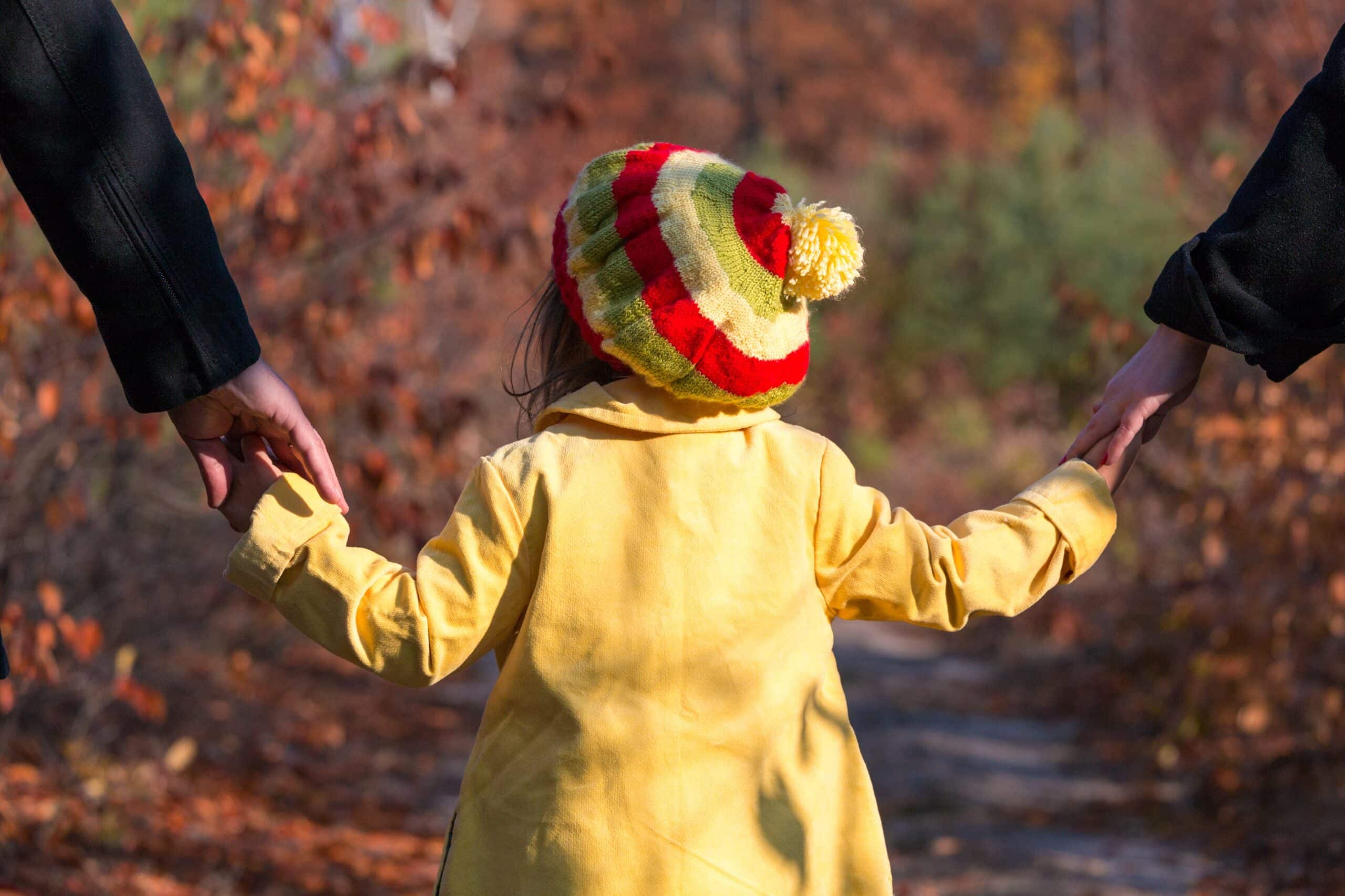 Emergency Child Custody Law Grand Island, NE